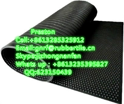 Breed Feeding Rubber Stable Mat for Horse