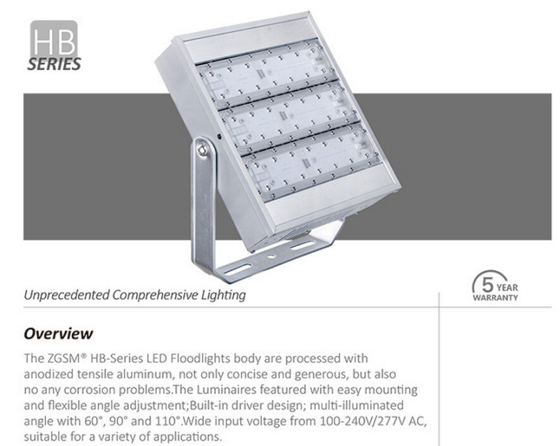 160W IP66 UL Dlc Ce RoHS Certificated LED Floodlight with 5 Years Warranty