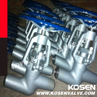 Power Station Globe Valve (J65Y)