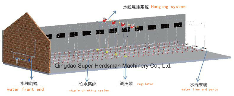 Automatic Chicken Drinking System for Poultry Shed