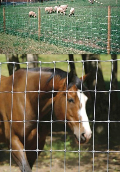 Galvanized Knotted Wire Mesh Fence Field Mesh