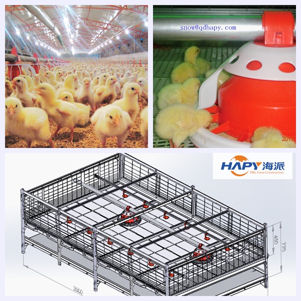 Automatic Poultry Equipment with Prefabricated House Construction