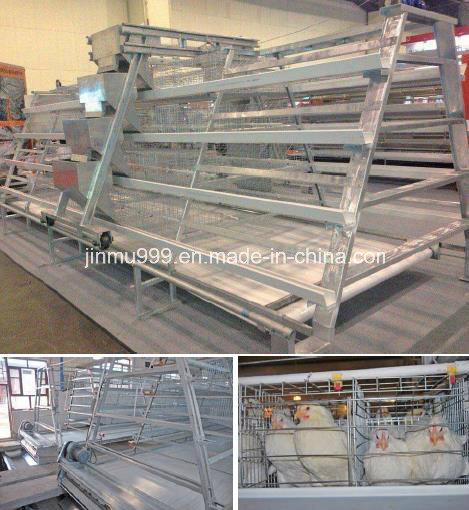 a Type Poultry Equipment Chicken Cage for Layer Broiler