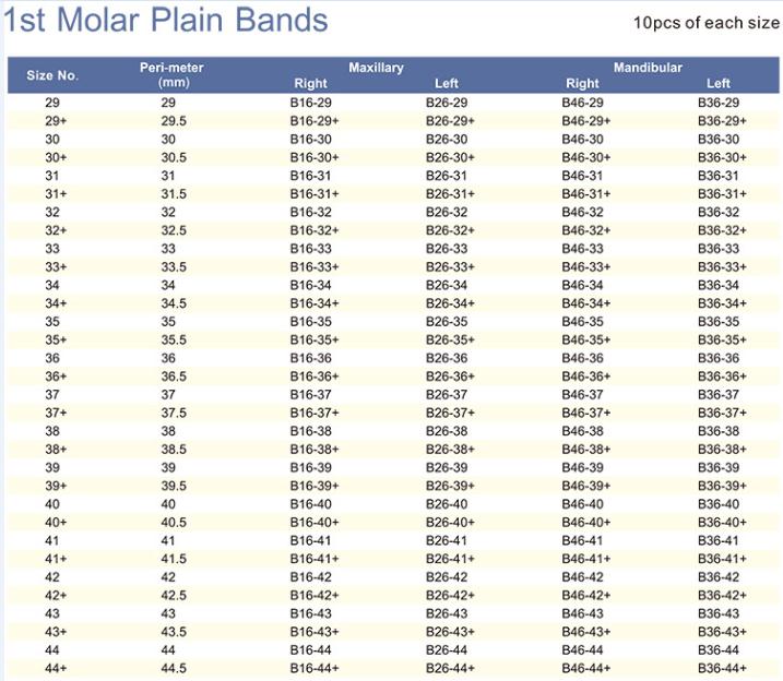 Plain Molar Bands