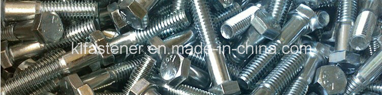 Hex Bolt A307