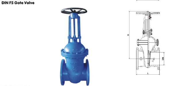 DIN3202 F5 Carbon Steel Wcb Flanged DIN Gate Valve