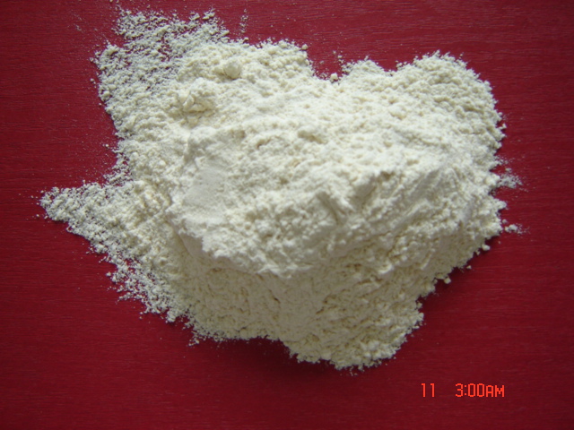 Manufacture of Chinese Garlic Powder