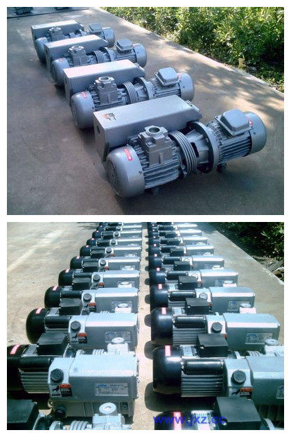 Rotary Slice Air Circulation Vacuum Pump