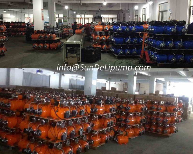 (SDP600-10) 600W Irrigation System High Pressure Water Pump