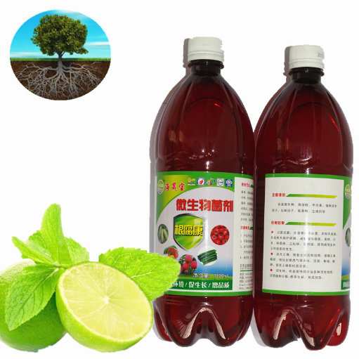 seaweed fertilizer with Plant growth regulator for root (liquid)