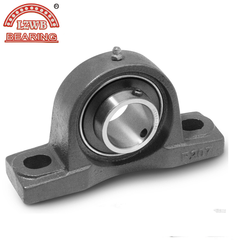 ISO Certificated Pillow Block Bearing with Competitive Price (UCP208)