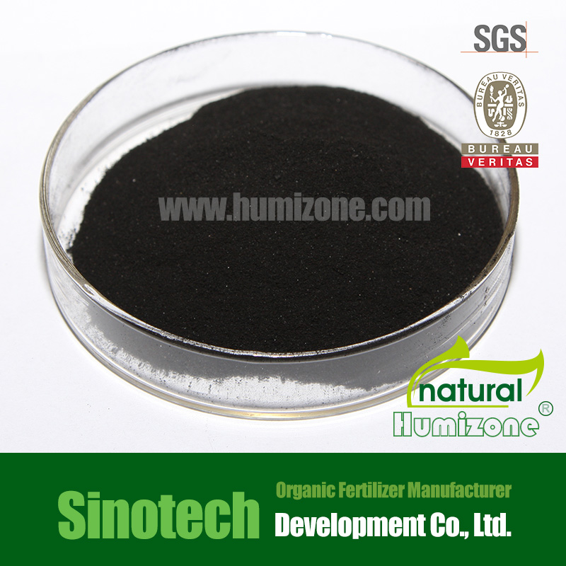 Humizone Plant Regulators: 90% Potassium Humate Powder (H090-P)