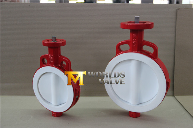 Full PTFE Coated Wafer Butterfly Valve with Bare Stem (CBF04-TA01)