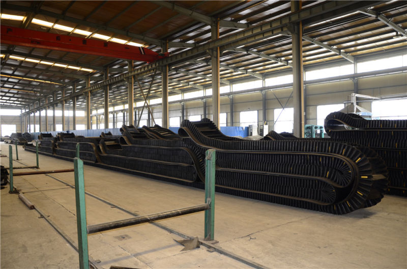 Competitive Price Sidewall Conveyor Belting