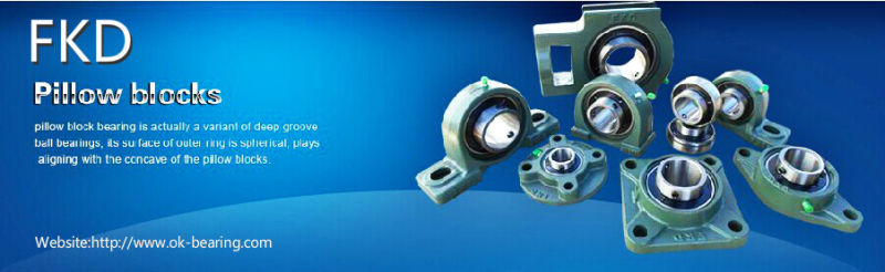 Hot Sell Bearing Housing, Agricultury Machinery Bearing Units (UCF UCP UCFL UCT)