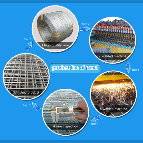 China 10 Gauge Galvanized Welded Wire Mesh