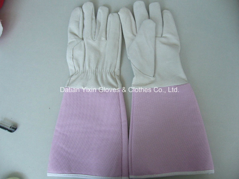 White Glove-Pink Glove-Safety Glove-Garden Glove