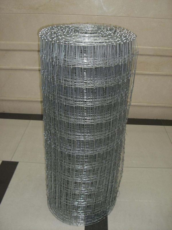 Hot-Dipped Galvanized Knotted Wire Mesh Fence