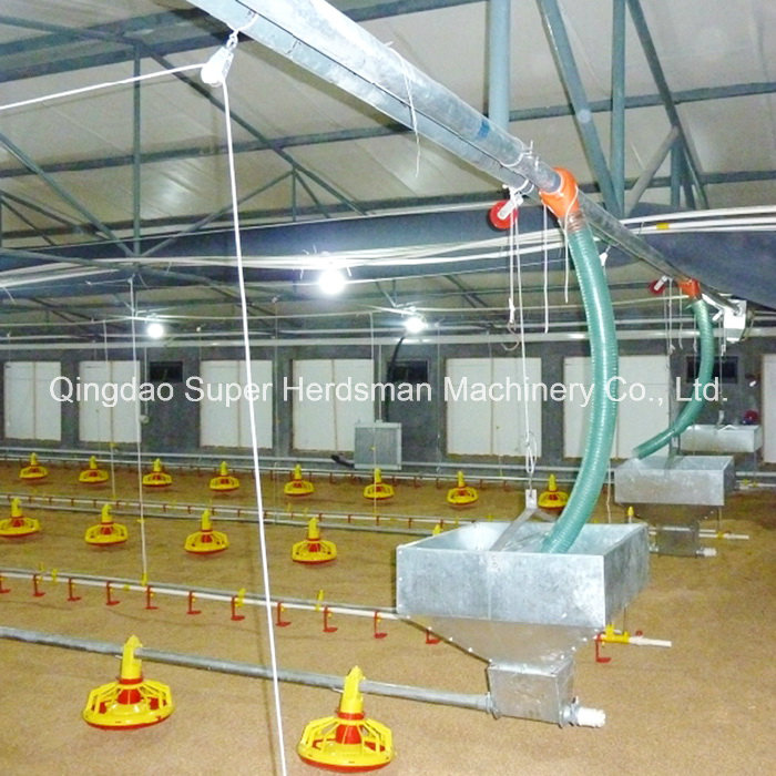 Automatic Poultry Feeder for Broiler Chicken