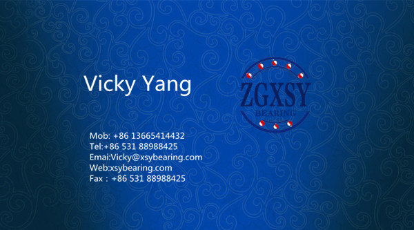 Xsy Bearing All Types of Cylindrical Roller Bearing