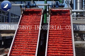 30-32% Tomato Paste with High Quality