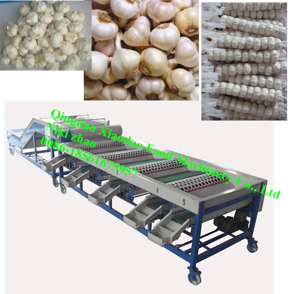 Vegetable and Fruit Sorting Machine/Grading Machine