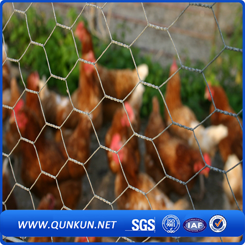 Best Product Hexagonal Wire Mesh