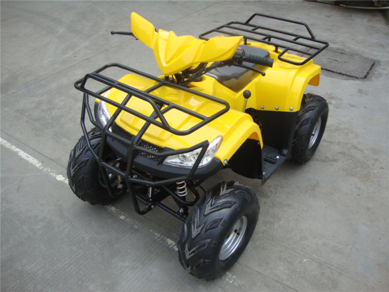 New Cheap 110cc ATV Plastic Body
