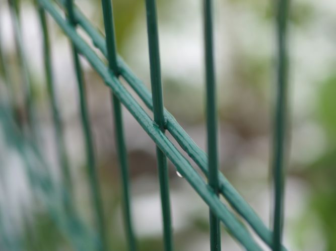 304 316L China Manufacturer Fence Garden Fence