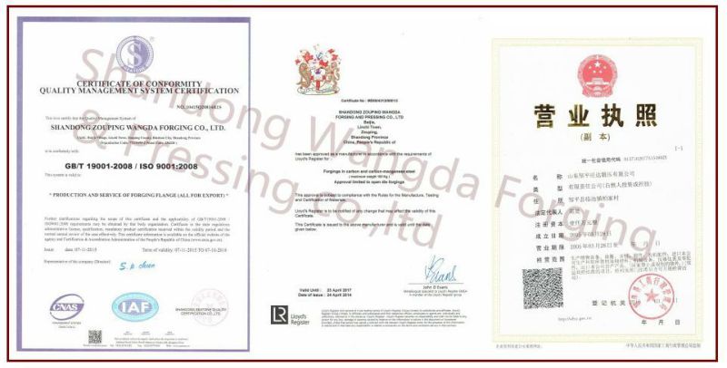 ISO/Ts16949 Certificated, Carbon Steel Welding-Neck Flange