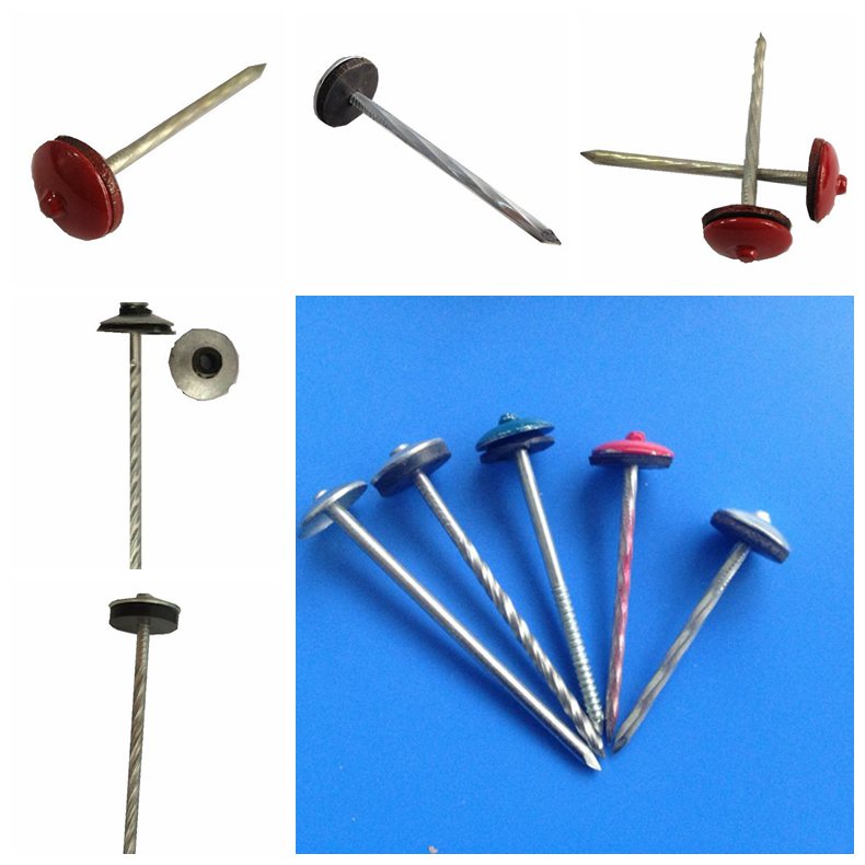 Hight Quality Common Roofing Nail for Sale (1.5