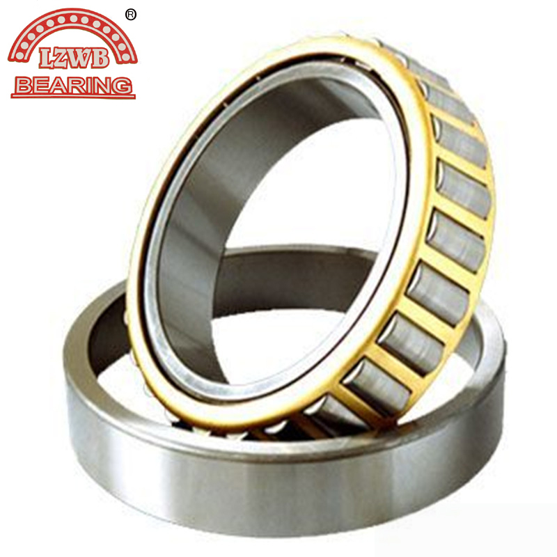 High Quality Cylinderical Roller Bearing with Competitive Price (NJ2204)