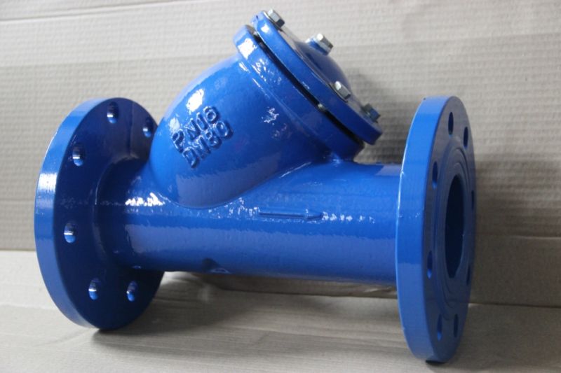 Cast Ductile Iron Ggg40 Class125 Class125 Y Type Strainer (GL41-10/16)