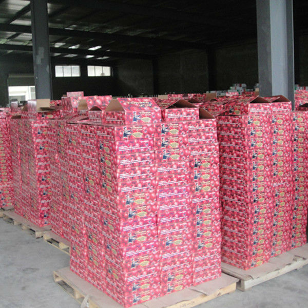 Hot Selling 70 G Sachet Tomato Puree for Wholesaler