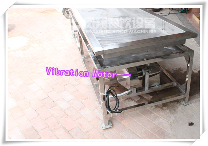 Vegetable Vibration Dewatering Machine, Fruit Dewatering Machine FT-1800