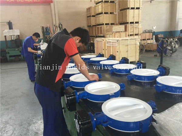 Full PTFE Lined Two PCS Body Wafer Type Butterfly Valve with Ce ISO Wras