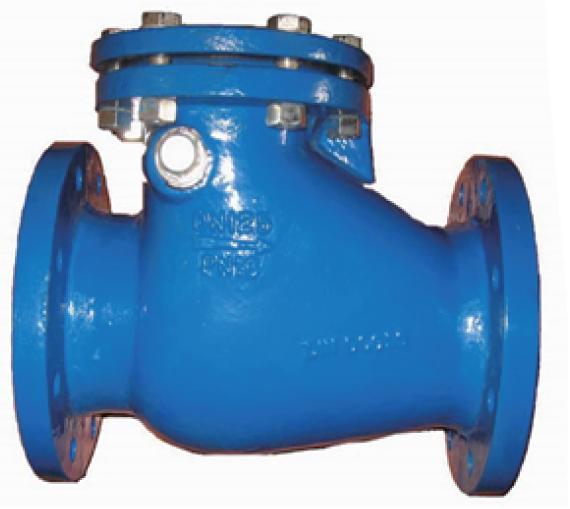 Cast Iron Swing Check Valves DIN3202 F6 Type a