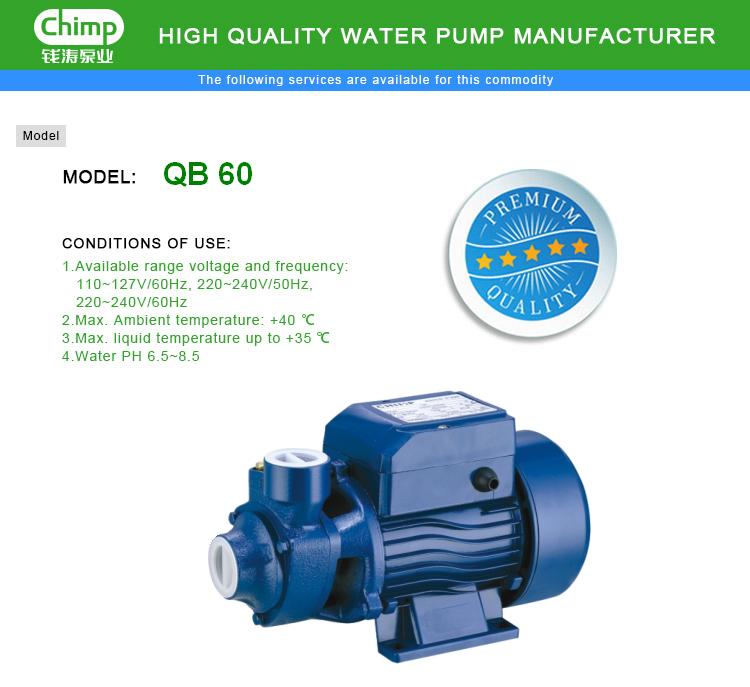 Qb60 0.5HP household Energy Saving Vortex Peripheral Clean Water Pump