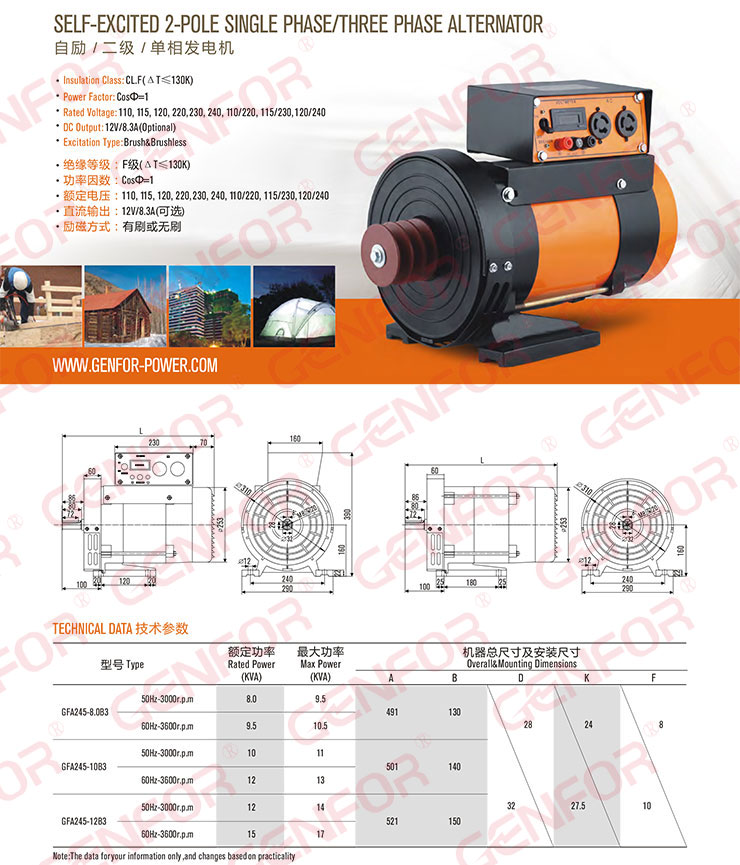 Brush or Brushless Single/Three-Phase 5kw Dynamo with 8.3A DC Output