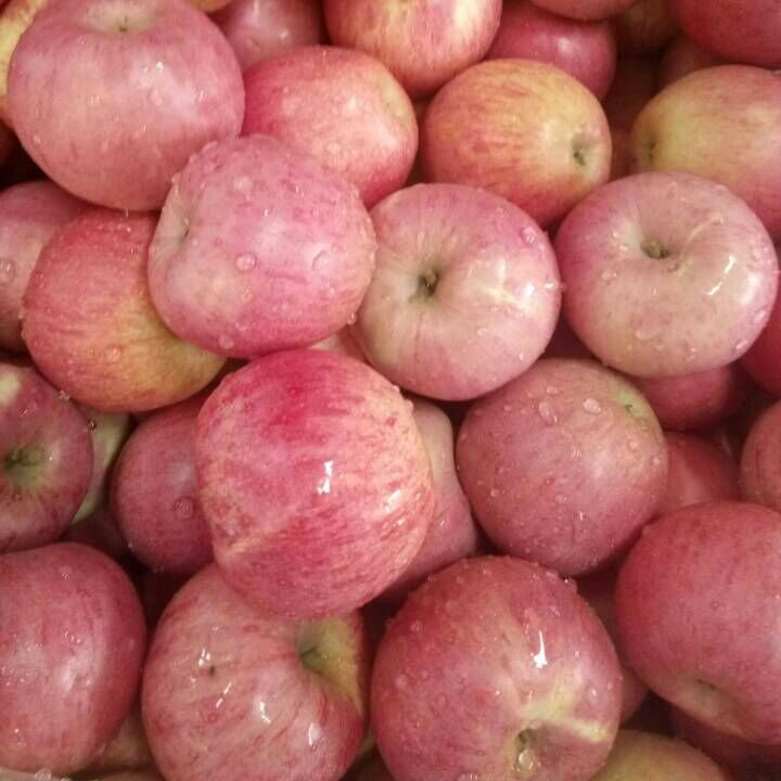 High Quality of Fresh Red Qinguan Apple