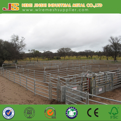 1.2X2.1m Sheep Panel/Cattle Panel/Horse Panel Made in China