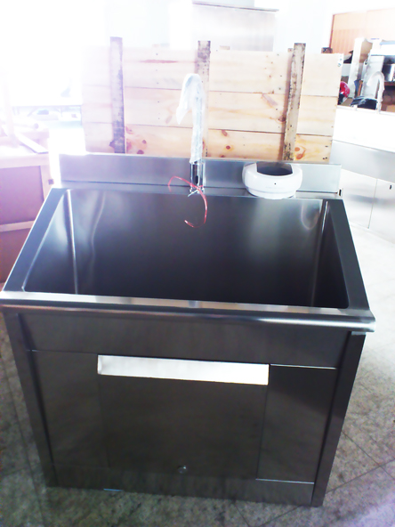 Stainless Steel Scrub Sink Hospital Furniture (THR-SS011)