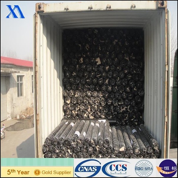 High Quality Cheap Hexagonal Wire Mesh (XA-HM416)