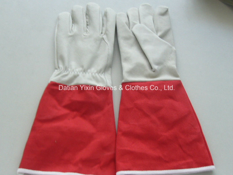 Long Cuff Garden Glove-Cheap Glove-Working Glove