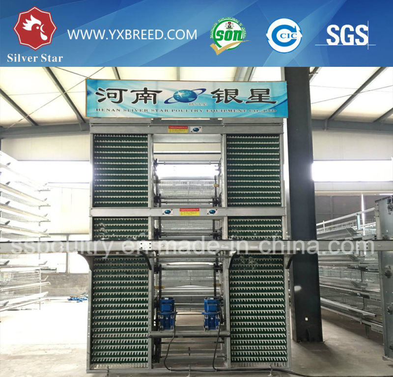 Automatic Chicken Cage for Big Farm Layer