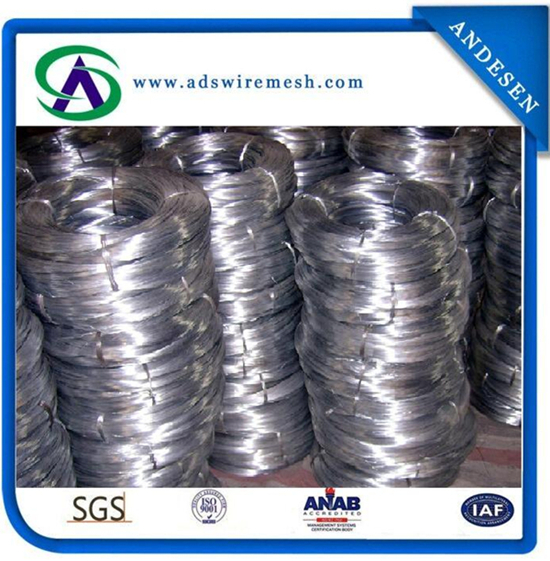 Electro / Hot Dipped Galvanzied Low Carbon Steel Wire