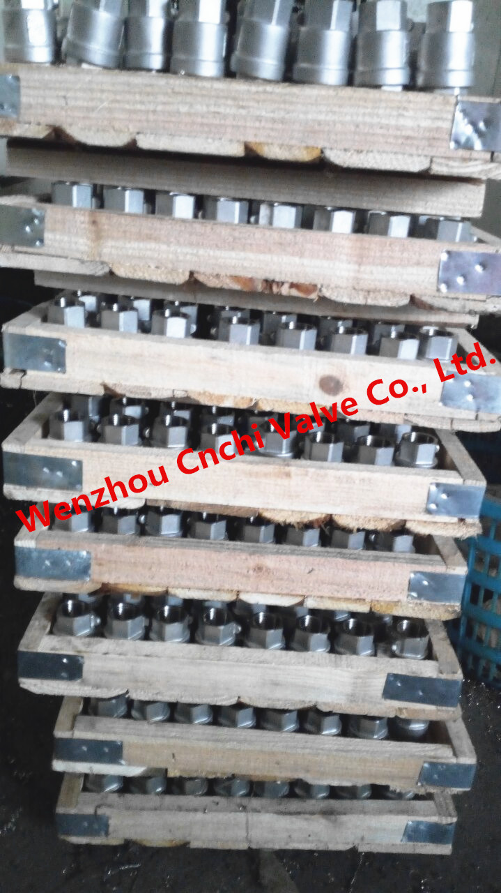 Vertical Spring Loaded Check Valve