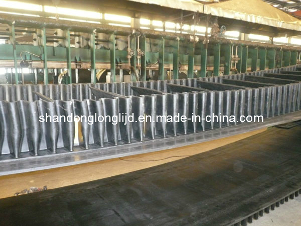 China Sidewall Conveyor Belt