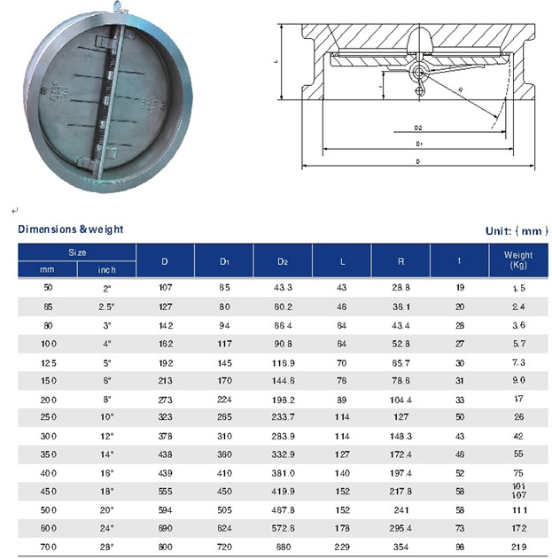 Dual Plate Wafer Check Valve