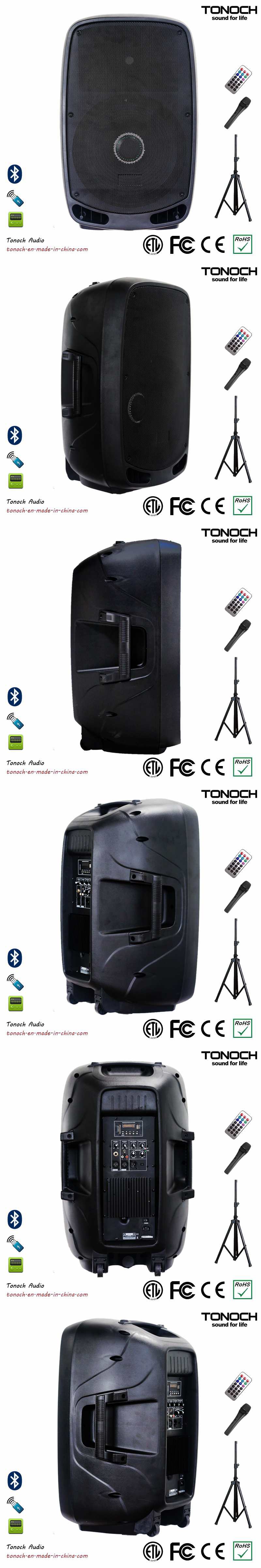 Hot Sale Professional PA System Loudspeaker with Bluetooth